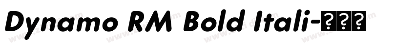 Dynamo RM Bold Itali字体转换
